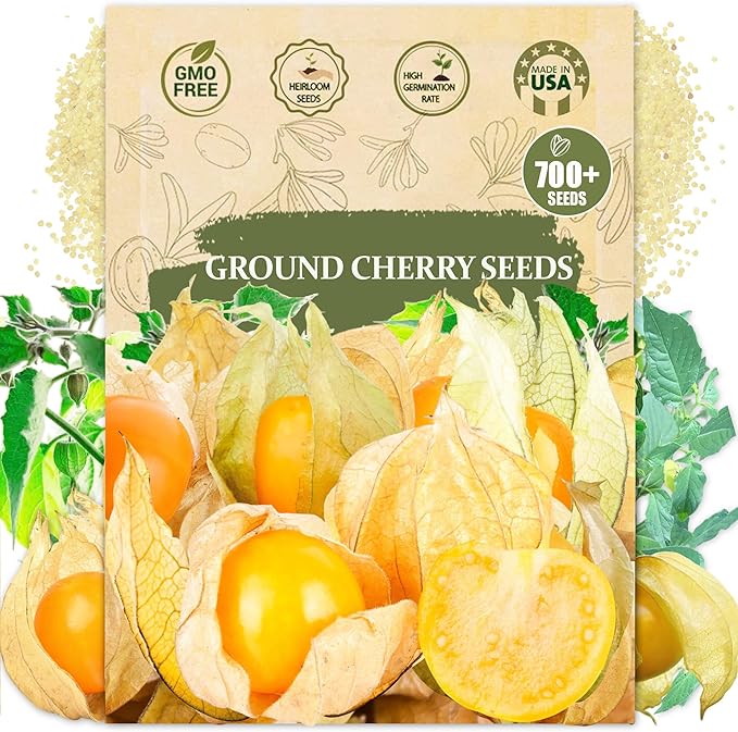 Premium Cape Gooseberry Seeds (Physalis peruviana) – 700+ Non-GMO Heirloom Seeds for Planting – Sweet, Tangy Ground Cherries with High Germination Rate