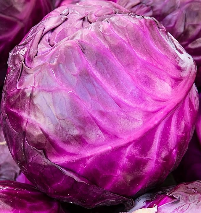Cabbage Seeds for Planting - Plant & Grow Heirloom Cabbage Varieties Home Outdoor Garden – Easy Grow Planting Packet Instructions Included, Great Gardening Gift – 2 Packets of Each Variety