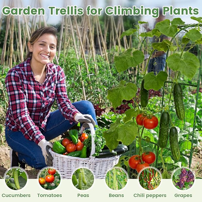 Cucumber Trellis, Metal Garden Arch Trellis for Raised Bed, 32 x 48inch U-Shape Garden Trellis for Climbing Plants Outdoor, Vegetables Fruit Plant Support with Netting, Gardening Supplies (Green)