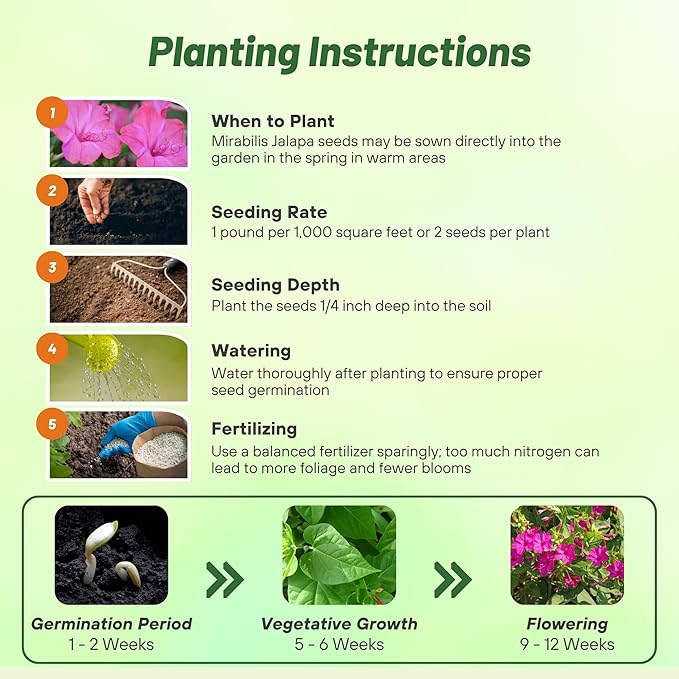 Outsidepride Pink Four O'clock Flower Seeds - 1 lb Perennial Fragrant, Trumpet-Shaped Blooms, Deer-Proof & Easy to Grow, for Pollinator & Evening Gardens, Containers, Hedges, or Borders