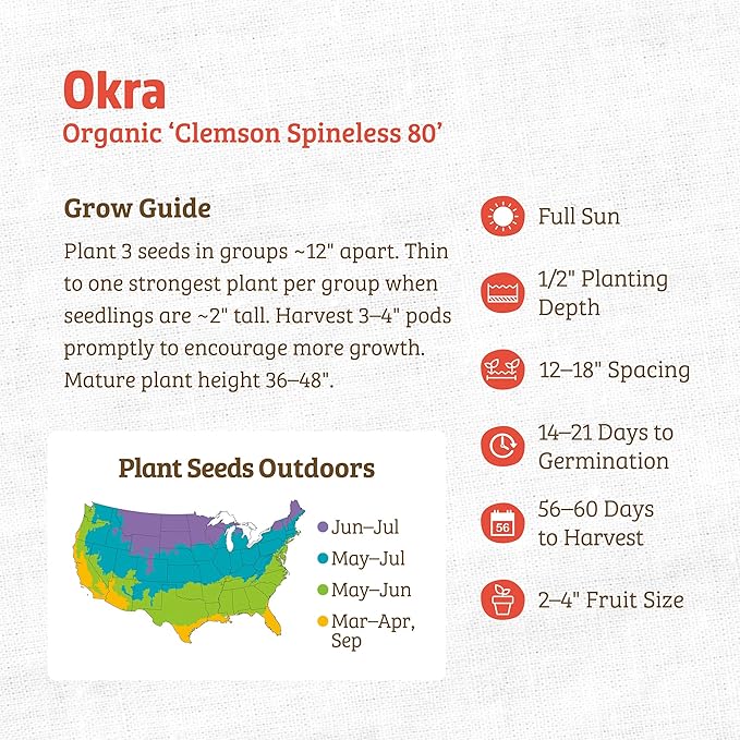 Back to The Roots 100% Organic Seed Packet - Okra 'Clemson Spineless 80' 1.4g