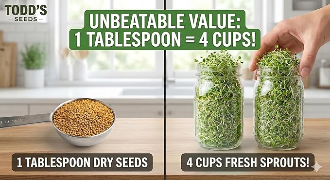 Todd’s Seeds - Alfalfa Sprouting Seeds - Easy to Grow Bulk Alfalfa - Fast Growing with High Sprout Germination (1/2 Pound)
