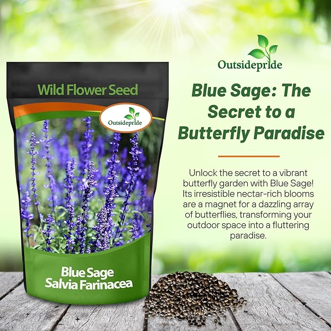 Outsidepride Blue Sage Seeds - 1/2 Lb. Perennial, Drought-Tolerant & Deer-Resistant Wildflower Seeds w/Fragrant Blooms for Pollinator Attractant for Butterfly & Hummingbird Gardens & Landscaping
