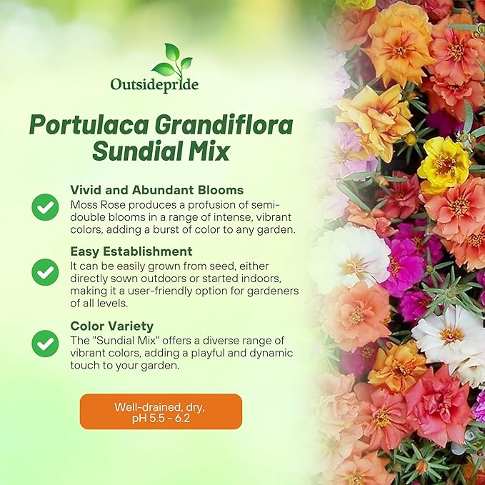 Outsidepride Sundial Mixed Moss Rose Seeds - 500 Pcs Annual, Drought & Heat Tolerant, Pollinator Friendly Ground Cover Seeds for Planting w/Vibrant Blooms & Succulent Foliage, Ideal for Xeriscaping
