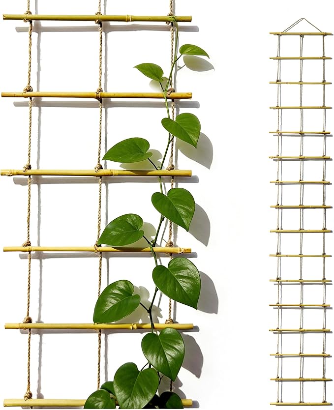 Natural Bamboo Ladder Plant Trellis 79 in L x 12 in D Ideal for Climbing Plants, Providing Reliable Support Suitable for Outdoor Walls, Gardens, patios, and Similar Settings (2)