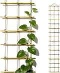 Natural Bamboo Ladder Plant Trellis 79 in L x 12 in D Ideal for Climbing Plants, Providing Reliable Support Suitable for Outdoor Walls, Gardens, patios, and Similar Settings