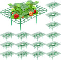 Havawish 20 Pack Strawberry Plant Support Holder for Chocolate Covered Strawberries Square Outdoor Plant Stand Holder, Growing Racks Growing Frame for Keeping Garden Clean