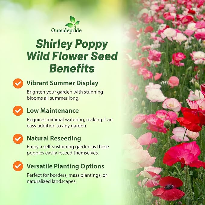 Outsidepride Shirley Poppy Seeds for Planting - 5 lbs Annual, Drought-Tolerant & Easy to Grow Wildflower Seeds with Vibrant Mix Blooms for Landscaping, & Pollinator Garden