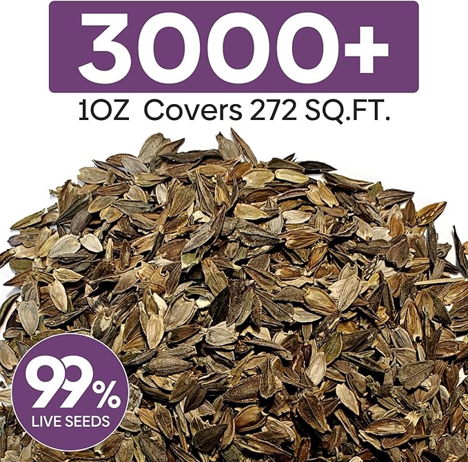 Zinnia Seeds Mix, 1 Oz, Over 3,000 Flowers Seeds, 5 Varieties (Pink, Yellow, Orange, White, Purple), Mixed Colors and Large Blooms,Open Pollinated - Bulk