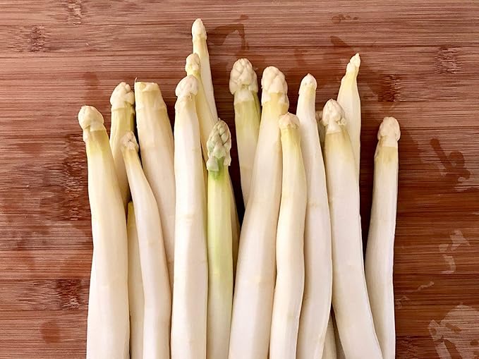 Seeds Vegetable Asparagus White - 30 Seeds