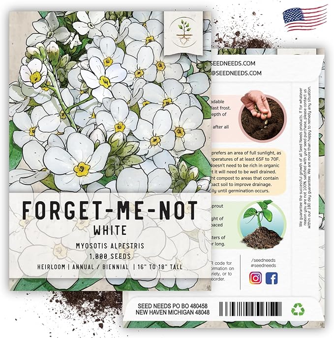 Seed Needs Forget Me Not Seeds for Planting White Myosotis Flowers - Heirloom & Open Pollinated Wildflowers to Plant an Outdoor Butterfly Garden to Attract Pollinators (1 Pack)
