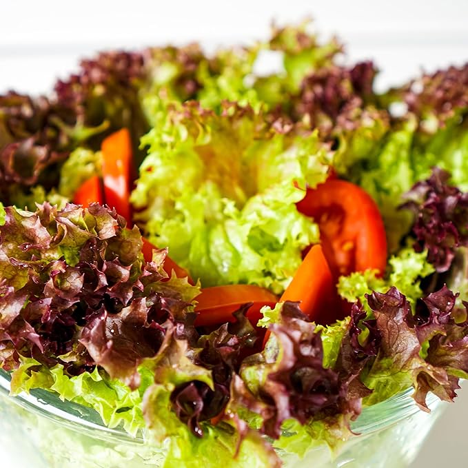 Back to The Roots 100% Organic Seed Packet - Lettuce 'Red Oak Leaf' 420mg