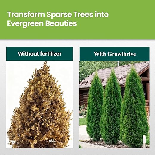 Evergreen Tree Liquid Fertilizer – Natural Probiotic Plant Food for Healthy Evergreen Growth – 10 oz Concentrate – Promotes Greener Leaves, Strong Roots & Soil Health