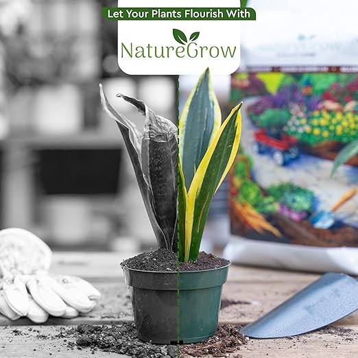 Earth Worm Castings 40LB - Organic Fertilizer Includes Humic Acid - Pure Worm Castings for Gardening