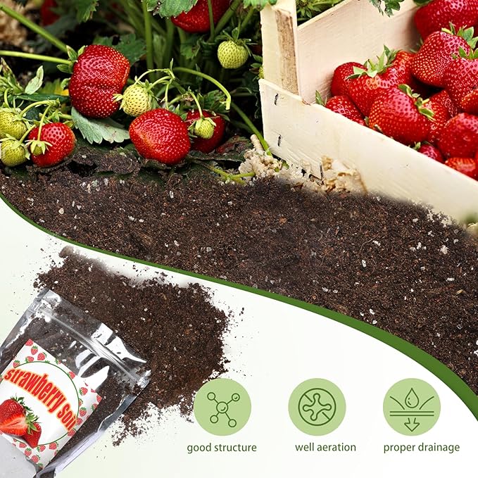 Organic Strawberry Soil Mix 10qt, Indoor Plants Potting Mix for All Potted Strawberry, Grow Healthy houseplants Indoors