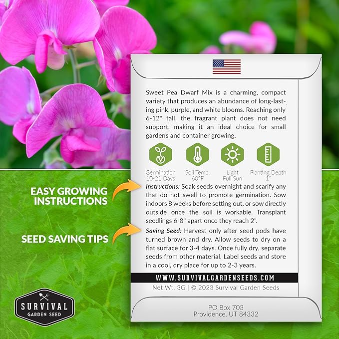Dwarf Sweet Pea Seeds for Planting - Compact Bush Style Sweet Pea Flowers for Containers and Small Gardens, Fragrant Flower Variety for Outdoor Growing – Survival Garden Seeds (3 Packs)