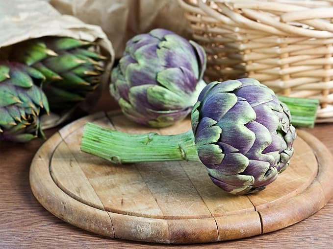 20+ Seeds Purple Artichoke Imerial Star - Vegetable Purple