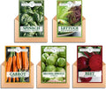 Park Seed Cool Season Vegetable Seed Collection – Non-GMO Fall Garden Kit with Beet, Carrot, Spinach, Lettuce, Kohlrabi & Mini Romaine Blend – Cold Hardy Varieties, Total of 725 Seeds