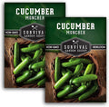Muncher Cucumber Seeds for Planting | Burpless Variety with Smooth Skin for Snacking or Slicing – Survival Garden Seeds (2 Packs)