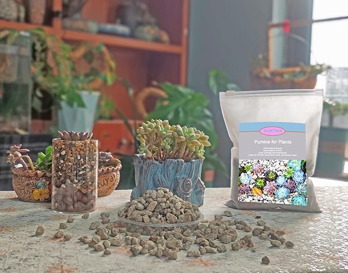 Horticultural Pumice for Plants 2QT, Natural Organic Pumice Stones for Succulent Cactus Bonsai Tree Orchid Potting Mixed, Improves Soil Aeration and Drainage, Promotes Root