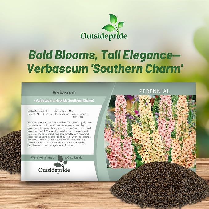 Outsidepride Southern Charm Mullein Seeds for Planting - 30 Pcs Self-Seeding, Perennial Heirloom Seeds for Planting Flowers, for Cut Flower Arrangements, Xeriscaping, Rock Gardens & Containers