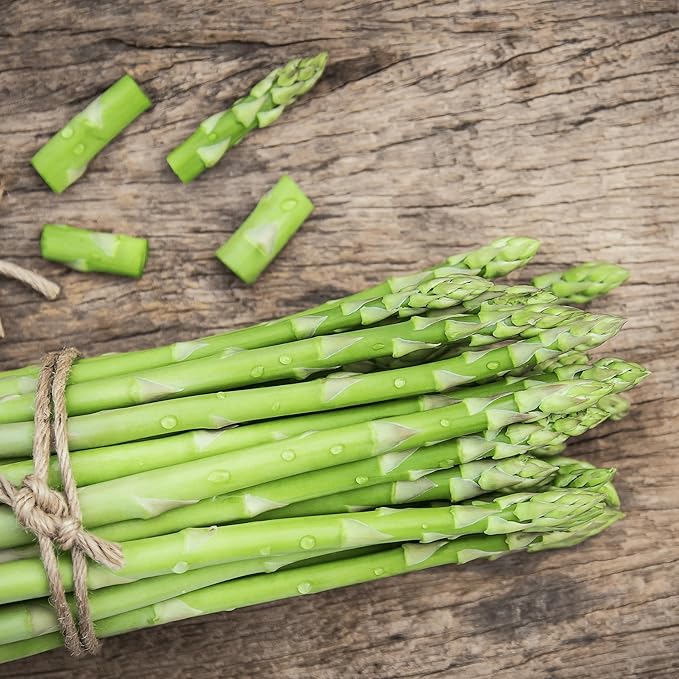 Millennium Asparagus Roots - Cold Hardy and Exceptionally High Yields - 2yr Asparagus Crowns from Hand Picked Nursery (5)