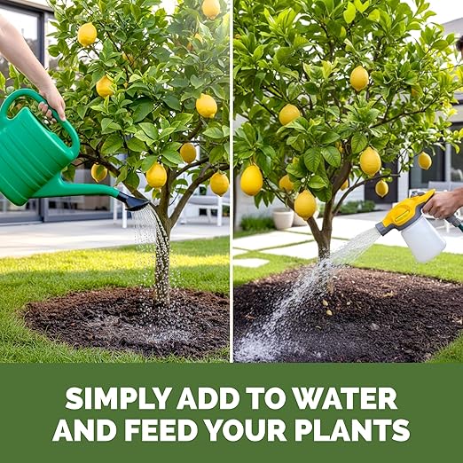 Lemon Tree Fertilizer – Liquid Plant Food for More Fruit, Better Flowering & Stronger Root Development, 32 oz