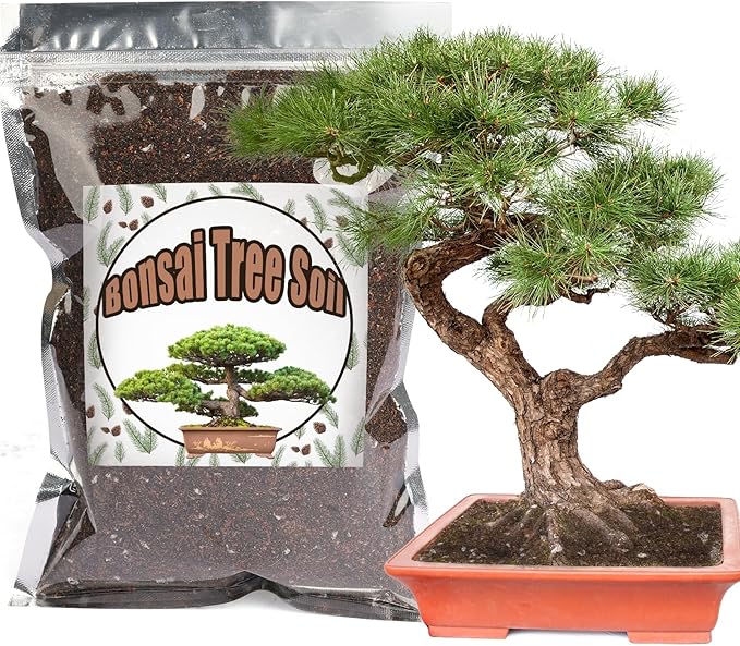 Bonsai Soil Mix 10qt Ready to Use, Organic Potting Soil Fits for Small Bonsai Pot, Suitable for Seedling, Repotting, or Bonsai Starter Kit