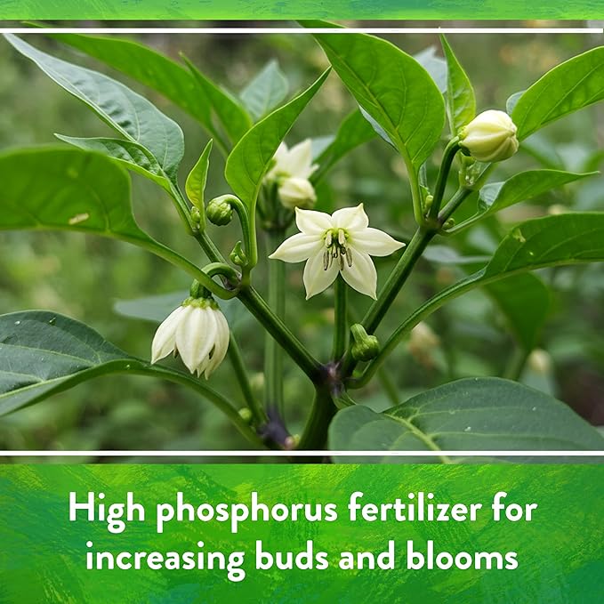 Down To Earth All Natural Fertilizers Organic Island Phosphate - High Phosphorus Plant Food for Buds, Blooms, Flowers 0-11-0, 5 lb