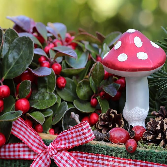 Outsidepride Wintergreen Seeds - 500 Pcs. Perennial, Cold-Tolerant & Low Maintenance, Ground Cover Seeds for Planting Sweet, White Bell-Shaped Blooms for Versatile Uses & Pollinator Gardens