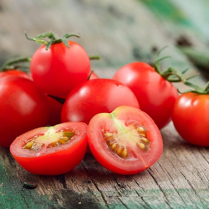 Tomato Seeds - Tiny Tim - 0.25 Oz ~2,500 Seeds - Solanum lycopersicum - Farm & Garden Vegetable Seeds - Non-GMO, Heirloom, Open Pollinated, Annual