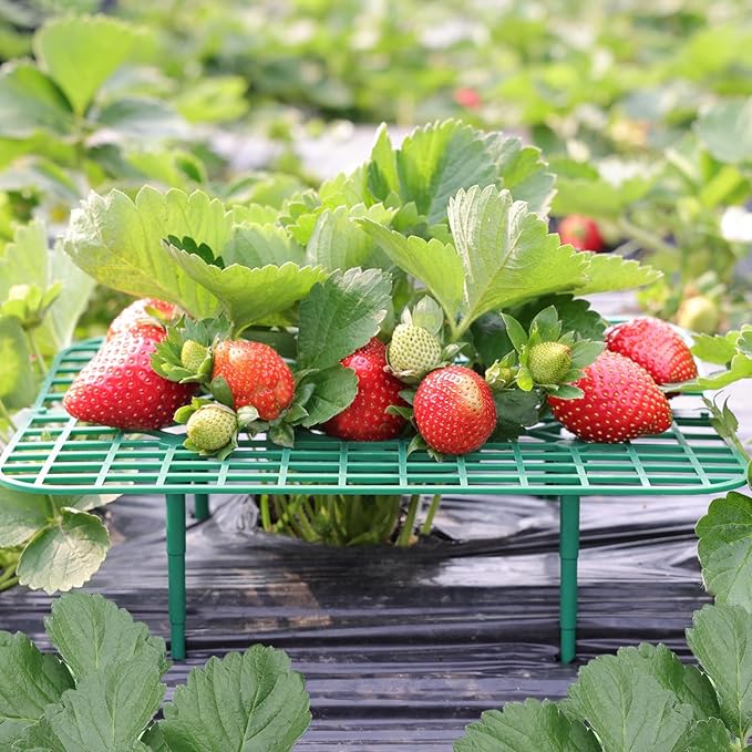 ANGTUO 10 Pack Square Strawberry Supports for Garden Strawberry Plant Support Strawberry Stand Holder Strawberry Racks Growing Frame