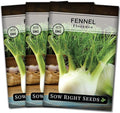 Sow Right Seeds - Florence Fennel Seed for Planting - Non-GMO Heirloom Packet with Instructions to Plant and Grow in Your Herbal Garden - Great for Seasoning and Cooking - Attract Pollinators (3)