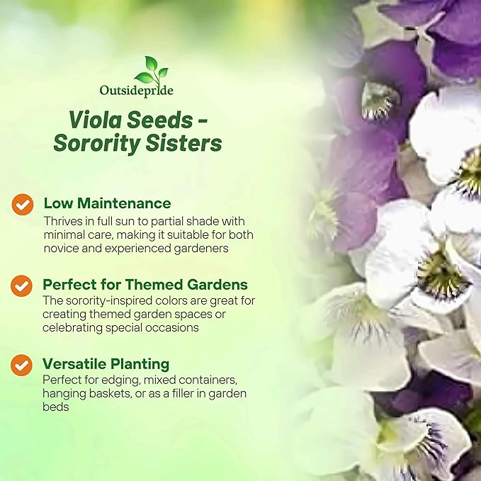 Outsidepride Sorority Sisters Viola Pansy Seeds for Planting - 100 Pcs. Perennial, Spreading, Cold-Hardy & Pollinator Friendly Flowers with Fragrant Blooms for Garden Beds & Container Displays