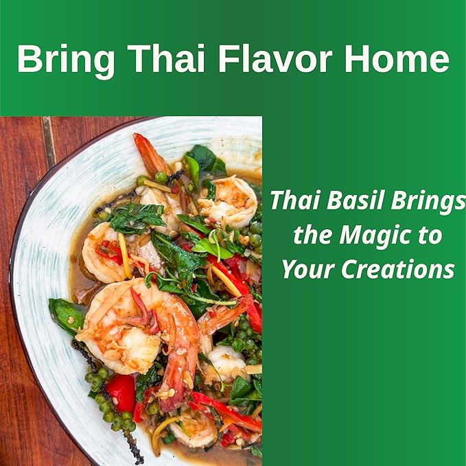 TKE Farms & Gardens - Thai Basil Seeds for Planting, 500+ Non-GMO Heirloom Seeds, Easy-to-Grow Herb, Indoor & Outdoor Gardening, Perfect for Home Chefs and Asian Cuisine, Instructions Included