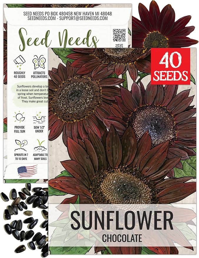 Seed Needs Sunflower Seeds for Planting Chocolate Sunflowers - Heirloom & Open Pollinated Flower Seed to Plant & Grow an Outdoor Wildflower Butterfly Garden (1 Pack)