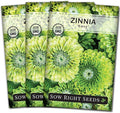 Sow Right Seeds - Zinnia Envy Flower Seeds for Planting - Beautiful Flowers to Plant in Your Garden - Non-GMO Heirloom Seeds - Chartreuse Green Variety - Attract Pollinators - Giant Cut Flower (3)
