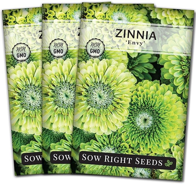 Sow Right Seeds - Zinnia Envy Flower Seeds for Planting - Beautiful Flowers to Plant in Your Garden - Non-GMO Heirloom Seeds - Chartreuse Green Variety - Attract Pollinators - Giant Cut Flower (3)