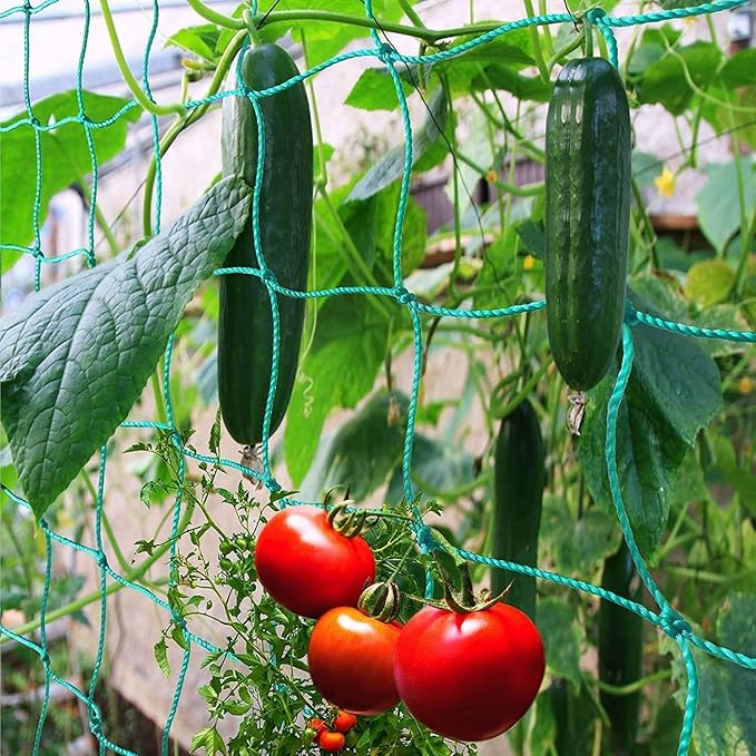 Pack of 2 Cucumber Tomato Trellis Netting, Heavy Duty Garden Netting for Climbing Plants Support, Pea, Grape, Bean, Fruit, Vegetables - 4" Mesh Size, 6Ft x 6Ft