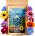 Created By Nature Minnesota Wildflower Seed Mix, 16 Flower Varieties, 40,000+ Seeds