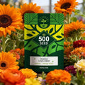 Orange Sunflower Seeds - 500 Seeds - Hybird Variety for Garden Borders or Field Planting