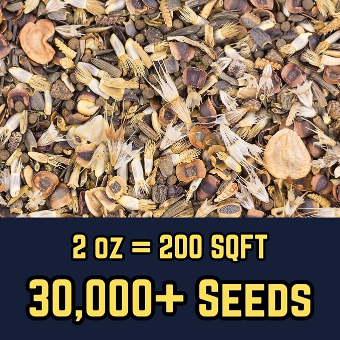 Bee Wildflower Mix (2oz) Sprinkle a Little Magic—Our Shade, Perennial, Hummingbird, Deer-Resistant, and Other mixes Bring Vibrant Color and pollinator Joy to Any Space.