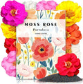 Moss Rose Seeds, 20,000+ Bulk Flower Seeds for Planting Outdoors(99% Pure Live, Non-GMO), Mixed Colors and Large Blooms, Attracts Pollinators, Easy to Grow