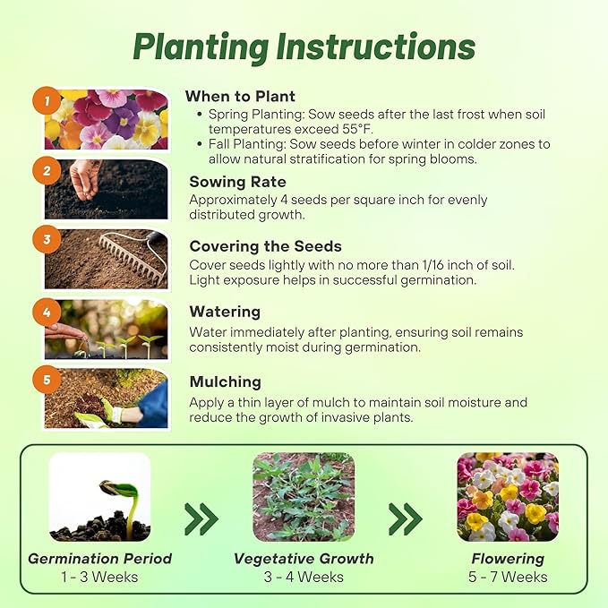 Outsidepride Danova Bicolor Mix Common Primrose Seeds - 50 Pcs Annual, Hardy, Easy to Grow & Low Maintenance Flower Seeds for Planting Vibrant Soft Blooms, for Containers, Borders & Erosion Control