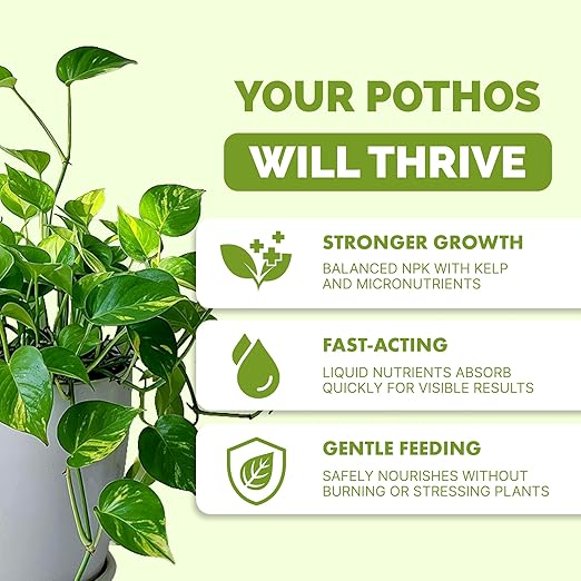 Pothos Fertilizer – Liquid Plant Food for Lush Growth, Stronger Roots & Vibrant Leaves, 32 oz