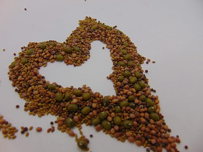 4 oz Megan's Sprouting Mix- Perfect Blend of Mung Bean, Alfalfa, Broccoli and Radish Sprouting Seeds, Non-GMO, Country Creek LLC