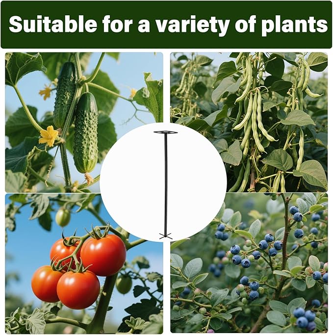 63" Metal Dragon Fruit Trellis – Durable Outdoor Garden Support for Climbing Plants, Easy Assembly Vertical Structure, Ideal for Dragon Fruit Growers