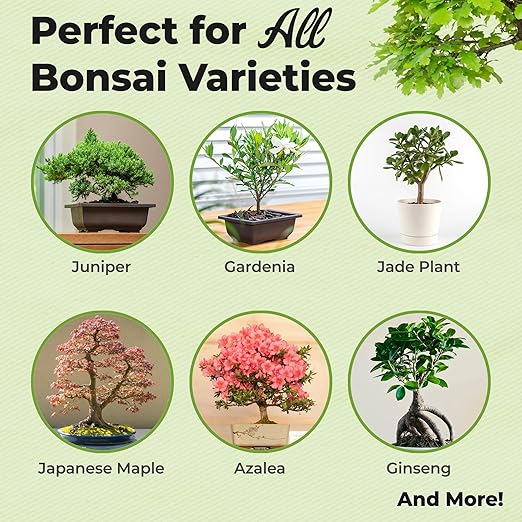 Bonsai Fertilizer Spray by Perfect Plants | Liquid nutrients for Your Small Tree Garden | Balanced Plant Food Mist Rich in micronutrients (8 fl oz)