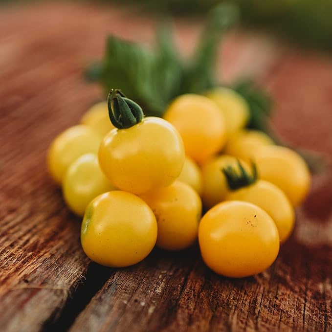 Galina's Yellow Siberian Cherry Tomato - 25 Seeds - Rare Russian Heirloom Tomato, Non-GMO Heirloom Yellow Cherry Tomato Seeds for Planting in The Home Garden, Thresh Seed Company