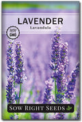 Sow Right Seeds - English Lavender Seeds for Planting - Non-GMO Heirloom Packet with Instructions to Grow Beautiful Indoor or Outdoor Herb Garden - Attract Pollinators - Perennial Purple Blooms (1)